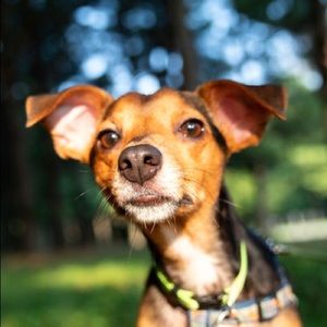 Meet your Posher, Elisabeth